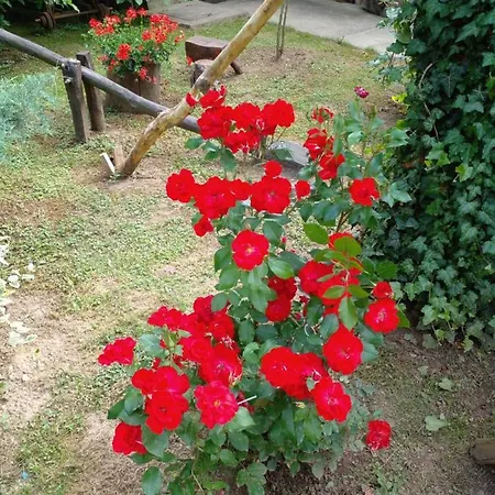 Skriveni Raj Apartment