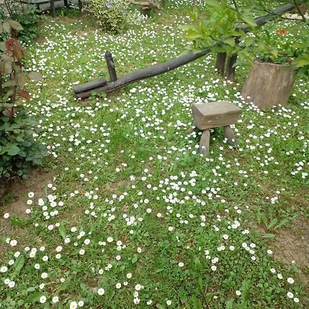 Apartment Skriveni Raj *