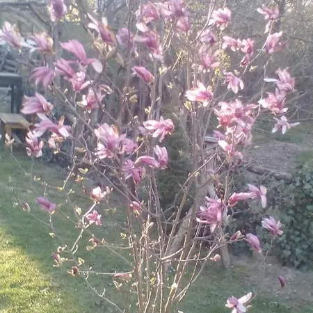 Lejlighed Skriveni Raj